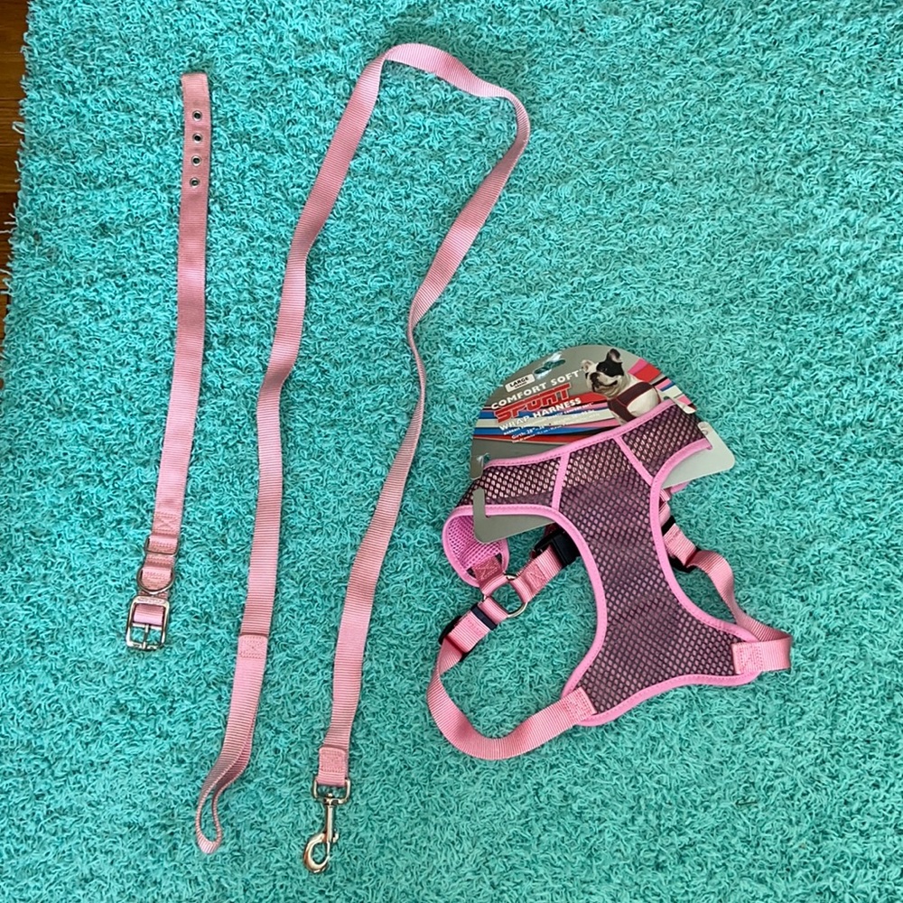 Dog leash, collar and harness